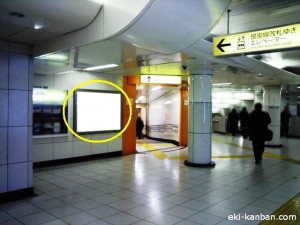 東京メトロ／溜池山王駅／南北線／№15駅看板・駅広告、写真1