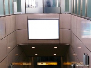 つくばエクスプレス　八潮駅／下りホーム／№2駅看板・駅広告、写真2