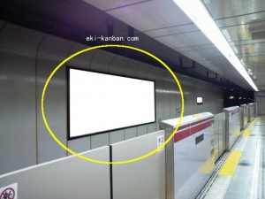 都営／光が丘駅／大江戸線Ｐ-6№6駅看板・駅広告、写真1