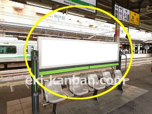 JR／橋本駅／横浜下りホーム№B03&B04№04駅看板・駅広告、写真1