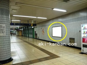 埼玉高速鉄道 南鳩ヶ谷駅//№11駅看板・駅広告、写真2