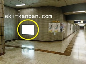 埼玉高速鉄道 鳩ヶ谷駅//№12駅看板・駅広告、写真2