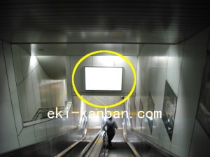 つくばエクスプレス／浅草駅／コンコース／№15駅看板・駅広告、写真2