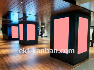 東京メトロ／銀座駅／MCV 単駅ジャック 銀座（日比谷線コンコース）№MCV駅デジタルサイネージ・駅広告、写真2