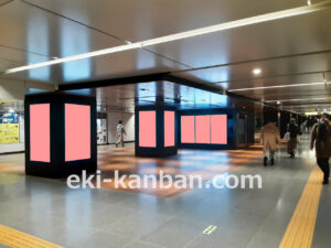 東京メトロ／銀座駅／MCV 単駅ジャック 銀座（日比谷線コンコース）№MCV駅デジタルサイネージ・駅広告、写真3