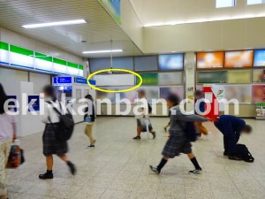 北総　千葉ニュータウン中央駅／額式／0-1№1駅看板・駅広告、写真2
