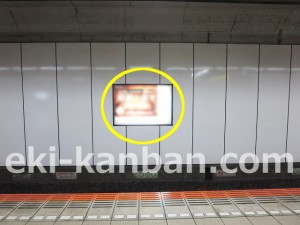 東葉高速　東海神駅／Ａ３駅看板・駅広告、写真2