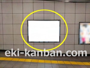 つくばエクスプレス／南流山駅／コンコース№８駅看板・駅広告、写真3