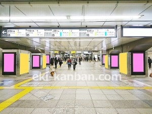 JR／秋葉原駅／秋葉原デジタルシートセット 21日間№21駅臨時広告・駅広告、写真1