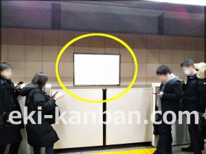 つくばエクスプレス／南流山駅／上り線側／№1駅看板・駅広告、写真2