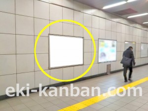 つくばエクスプレス／南流山駅／コンコース／№6駅看板・駅広告、写真2