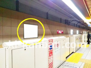 つくばエクスプレス　南流山駅／下り線側／№2駅看板・駅広告、写真1