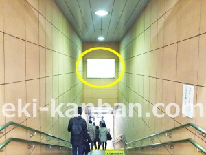 つくばエクスプレス／南流山駅／ホーム／№1駅看板・駅広告、写真2