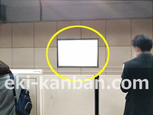 つくばエクスプレス／南流山駅／上り線側／№8駅看板・駅広告、写真2