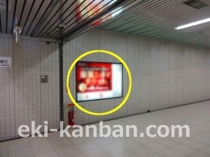 東葉高速　東葉勝田台駅／Ｃ６駅看板・駅広告、写真2