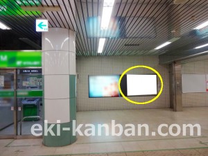 東葉高速　東葉勝田台駅／Ｃ7№7駅看板・駅広告、写真2