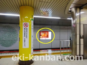 東葉高速　北習志野駅／Ａ３駅看板・駅広告、写真1