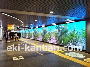 東急　渋谷駅／田園都市線渋谷駅ビッグサイネージプレミアム  A期 7日間№7駅デジタルサイネージ・駅広告、写真1