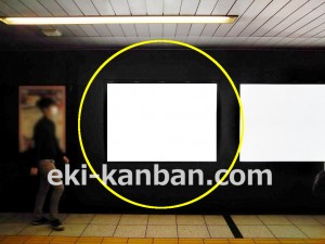 東京メトロ／大手町駅／半蔵門線／№48駅看板・駅広告、写真3