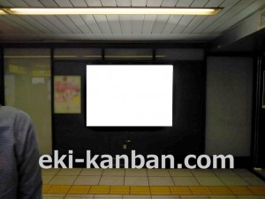 東京メトロ／大手町駅／半蔵門線／№49駅看板・駅広告、写真3