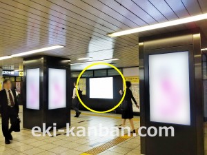 東京メトロ／大手町駅／半蔵門線／№39駅看板・駅広告、写真2