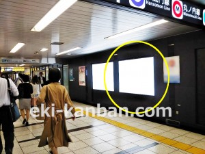 東京メトロ／大手町駅／半蔵門線／№47駅看板・駅広告、写真2