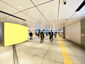JR／東京駅／東京丸の内線連絡通路ダブルビッグシート駅臨時広告・駅広告、写真2
