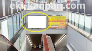 京成　新鎌ヶ谷駅／／№5302駅看板・駅広告、写真2