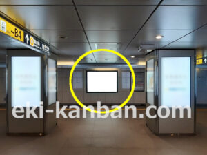 東京メトロ／日本橋駅／銀座線／№49駅看板・駅広告、写真2