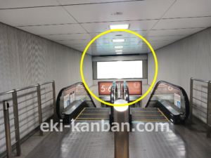 東急／渋谷駅／TY電気額面／№405駅看板・駅広告、写真2