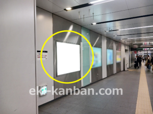 東急／渋谷駅／TY電気額面／№301駅看板・駅広告、写真2