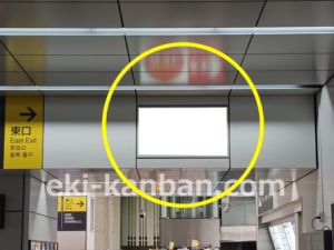 東急/学芸大学駅/TY電気額面/№403駅看板・駅広告、写真2