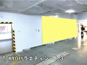 JR／東京駅／TOKYOバラエティシート１・２・３№TOKYO駅臨時広告・駅広告、写真3