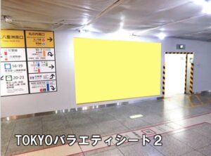 JR／東京駅／TOKYOバラエティシート１・２・３№TOKYO駅臨時広告・駅広告、写真2