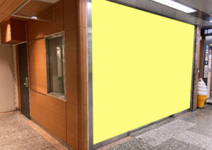 YOKOHAMA SEEDS board