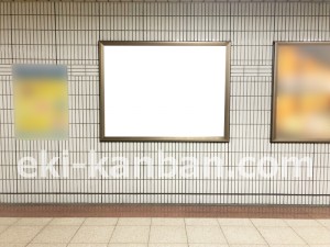 名古屋地下鉄/名古屋駅/桜通線№B2-10№10駅看板、写真2