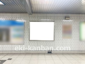 名古屋地下鉄/桜山駅/桜通線№B1-9№9駅看板、写真2