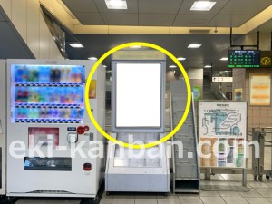 JR東海／八田駅／№A-5№5駅看板、写真2