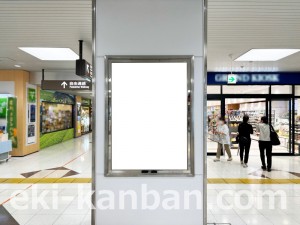 JR東海/掛川駅/№B-49№49駅看板、写真2