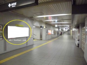 Osaka／Metro（大阪メトロ）　松屋町／長堀鶴見緑地線№2-002№002、写真1