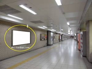 Osaka／Metro（大阪メトロ）　南巽駅／千日前線№3-003№003、写真1