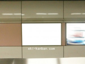 Osaka／Metro（大阪メトロ）　鶴見緑地駅／長堀鶴見緑地線№1-011№011、写真3