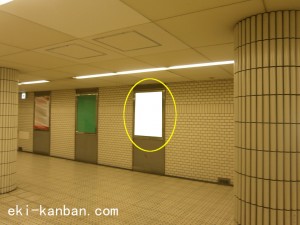 Osaka／Metro（大阪メトロ）　なかもず駅／御堂筋線№2-009№009、写真1