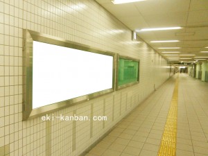 Osaka／Metro（大阪メトロ）　門真南駅／長堀鶴見緑地線№2-003№003、写真1