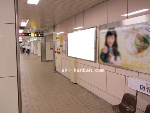 Osaka／Metro（大阪メトロ）　東梅田駅／谷町線№1-013№013、写真1