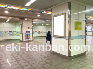 南海／岸和田駅／№5509&／№5510駅看板・駅広告、写真1