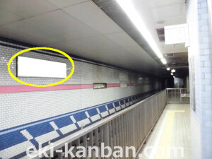 Osaka／Metro（大阪メトロ）　北巽駅／千日前線№1-005№005、写真2