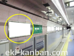 Osaka/Metro(大阪メトロ) ドーム前千代崎/長堀鶴見緑地線№1-005№005、写真2